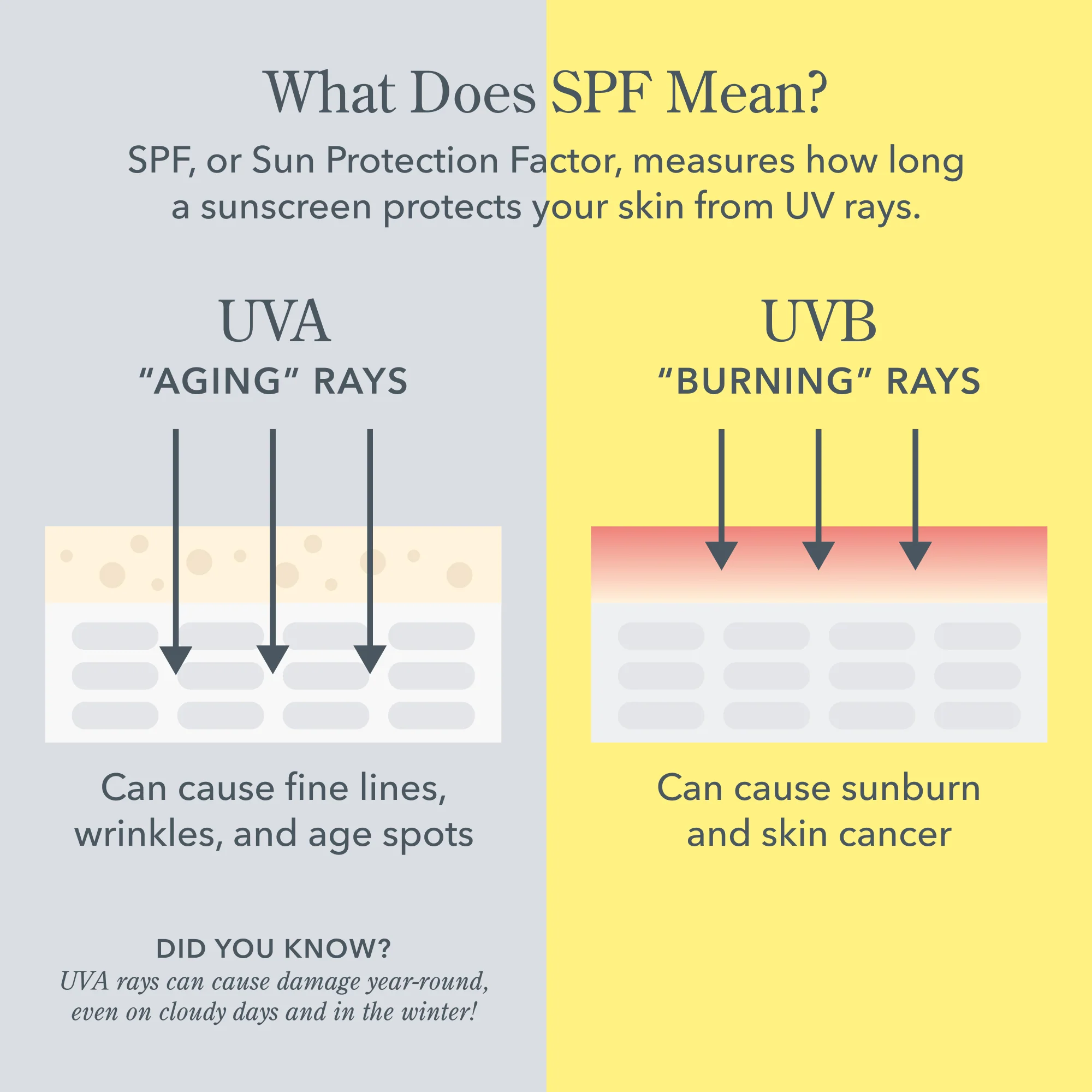 Solar Milk Clear SPF 50 Sunscreen Gel for Face - Image 6