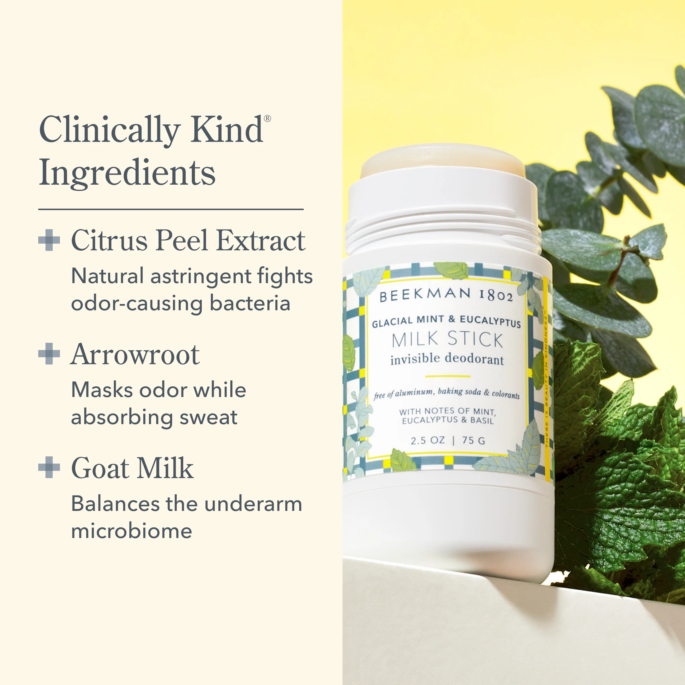 Glacial Mint & Eucalyptus Milk Stick All-Day Odor Protection Invisible Deodorant Duo - Image 3