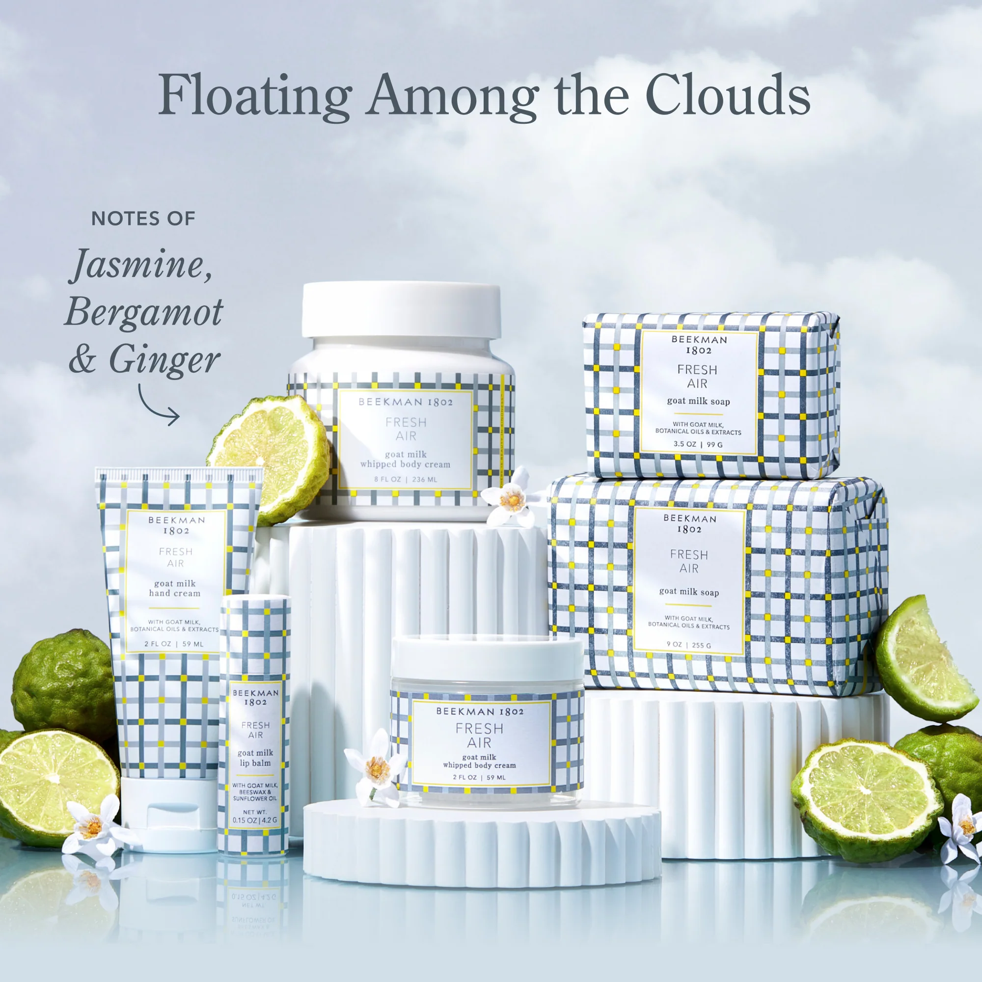 Fresh Air Wipes Set of 4 - Image 6