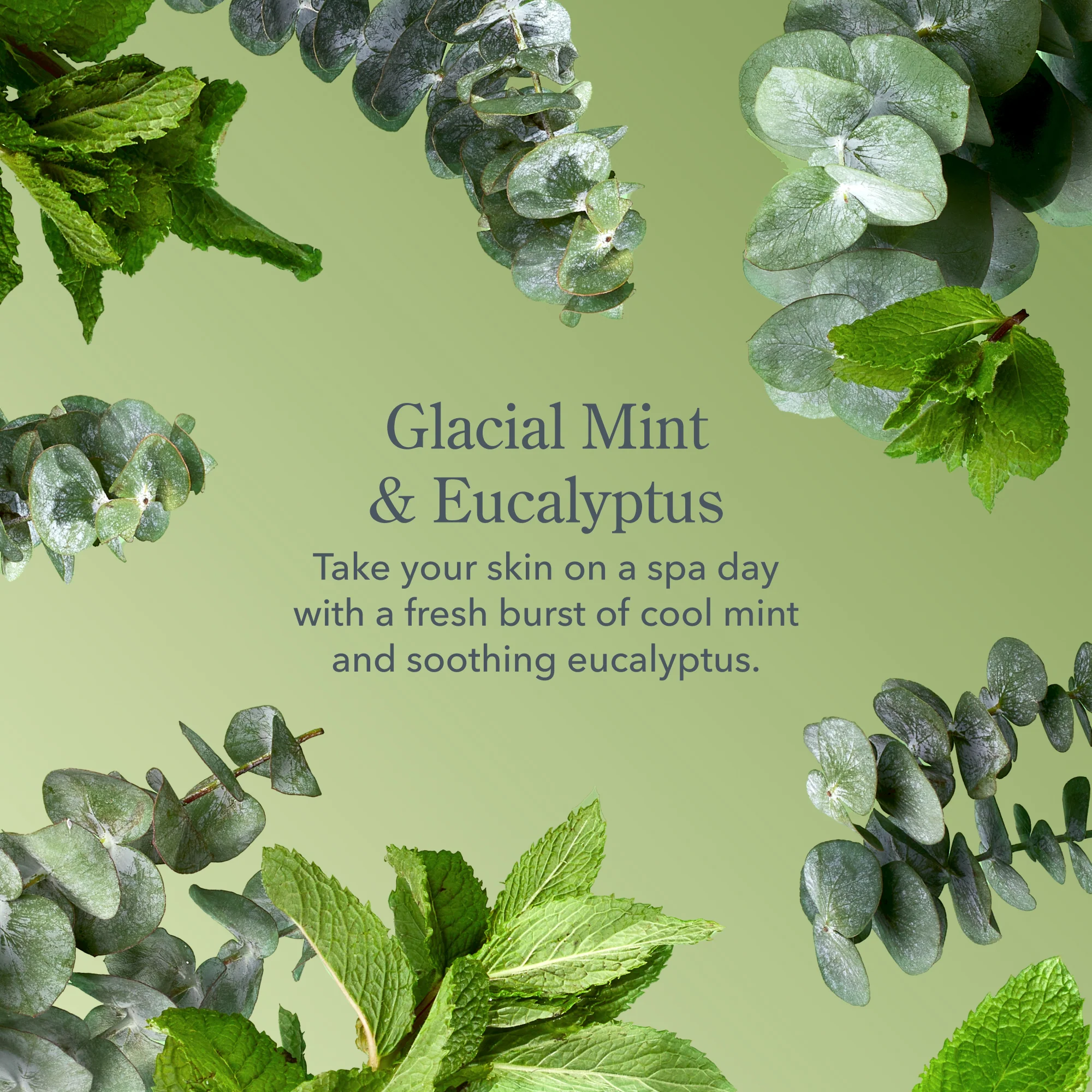 Glacial Mint & Eucalyptus Whipped Body Cream - Image 7