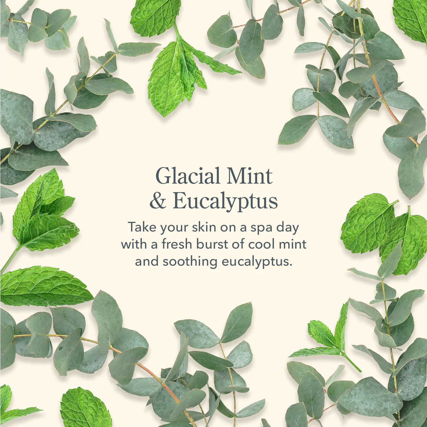 Glacial Mint & Eucalyptus Face Wipes Set of 4 - Image 7